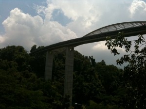 Looking towards Henderson Wave from below Looking towards Henderson Wave from below