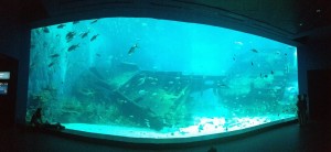 Aquarium Singapore
