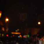 DSC01556.JPG