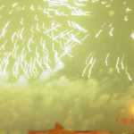 DSC01575.JPG