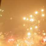 DSC01580.JPG