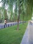 Looking inland along the water-way!