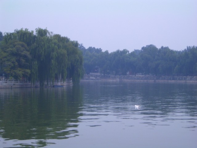 Pleasant and tranquill view of the lake