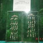 2004-09-25_057.jpg