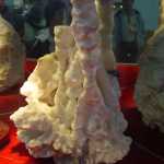 2004-09-25_028.jpg