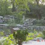 2004-09-27_Img097.jpg