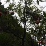 2004-09-28_Img059.jpg
