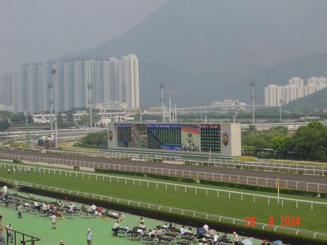 DSC01410.JPG
