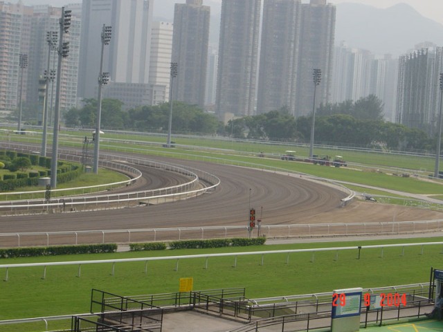 DSC01411.JPG