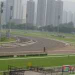 DSC01411.JPG