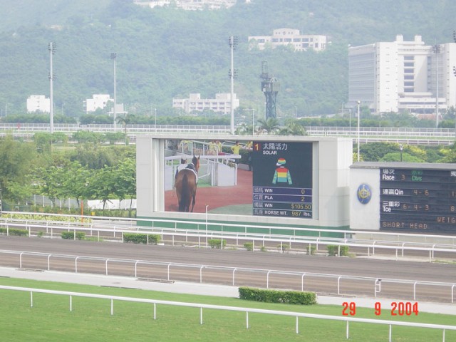 DSC01413.JPG