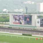 DSC01422.JPG