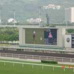 DSC01426.JPG