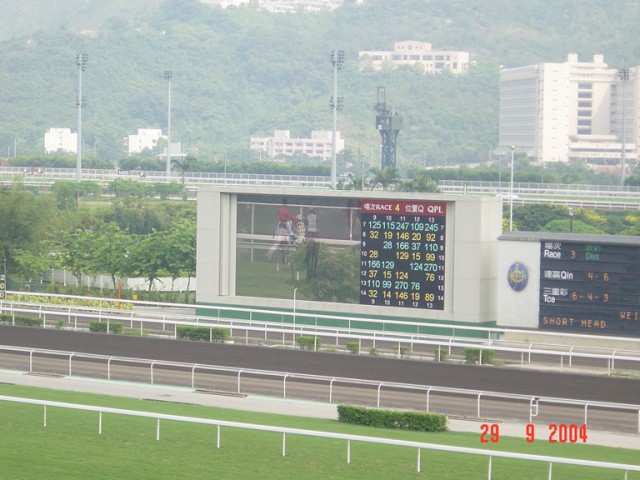 DSC01428.JPG