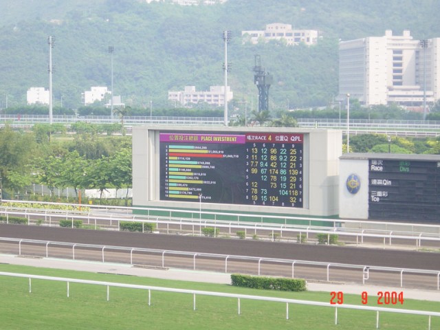 DSC01433.JPG