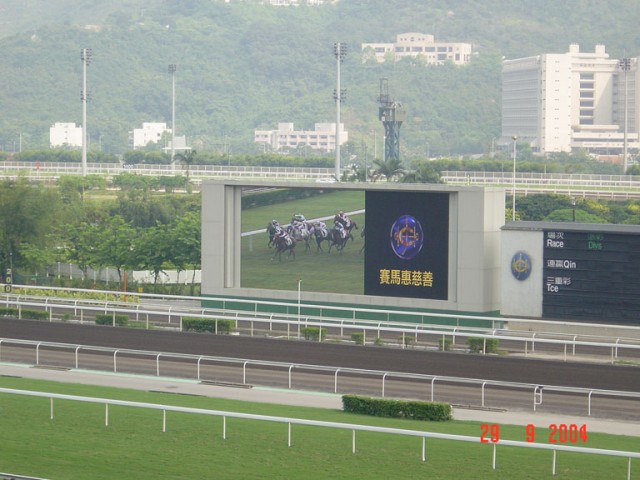 DSC01441.JPG