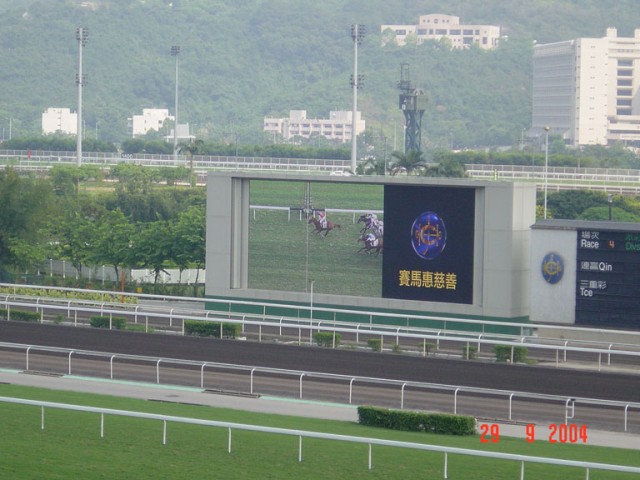 DSC01442.JPG
