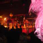DSC01332.jpg