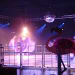DSC01384.jpg