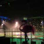 DSC01388.jpg