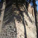 DSC05856.JPG