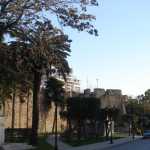 DSC05871.JPG