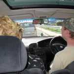 IMG_2483.JPG