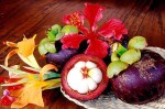 Mangostine Fruit