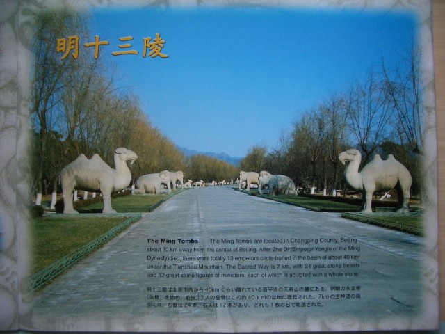 BeijingTourist Souvenir Guide_010.jpg