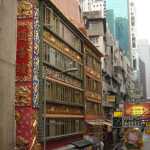DSC08223.JPG