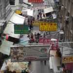 DSC08228.JPG