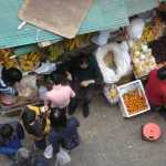 DSC08229.JPG