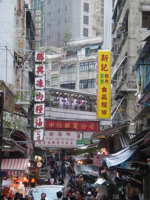 DSC08237.JPG
