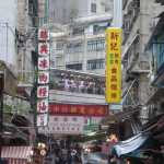 DSC08237.JPG