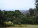 View of the Aberdares National Park from the Outspan Lodge
