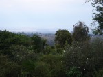 Another view from the Outspan Lodge
