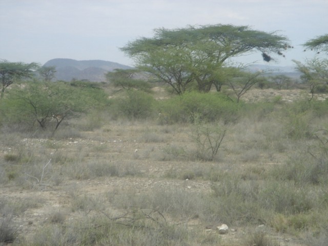 View of the Samburu National Reserve, 325km north of Nairobi in the hot and arid fringes of the vast northern region of Kenya. 