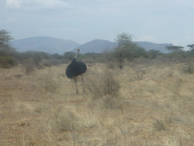 ...and her male companion!