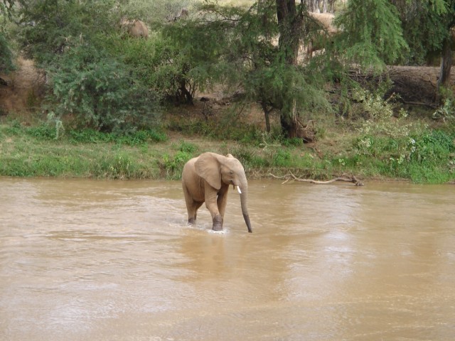 The water was surprisingly very shallow....