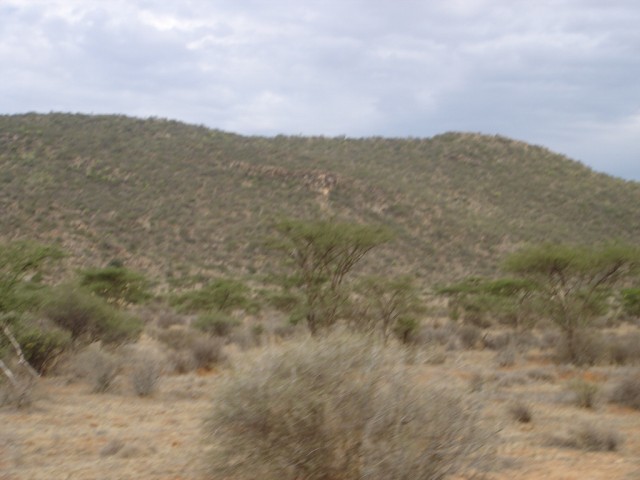 Blurry photo of the great Samburu landscape