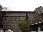Highlight for Album: Day 4 - Aberdares: Treetops