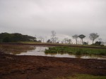 View of the Waterhole from ground level.