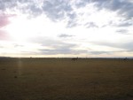 The terrian looked so different versus the Samburu National Reserve.  What a great photo emphasing the fantastic trip we had!
