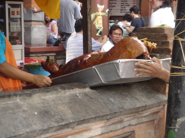 Delivery of a new pig