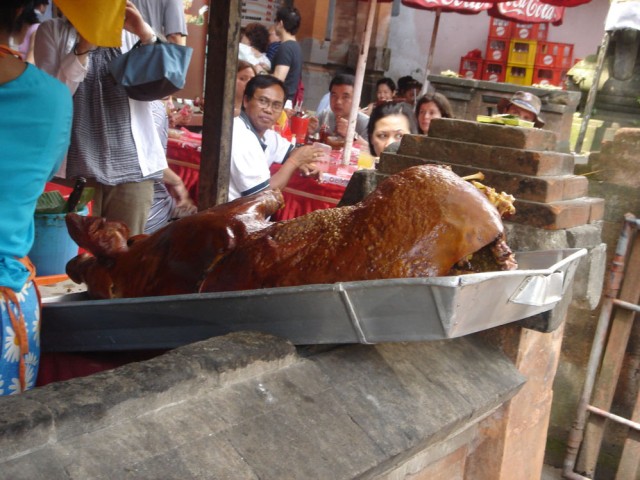 The pig is calved as-is!