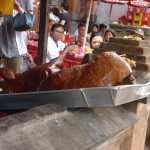 The pig is calved as-is!