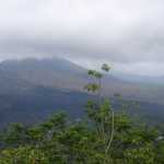 The lava flow flowed towards the right, towards the lake (which is just outside of the shot).