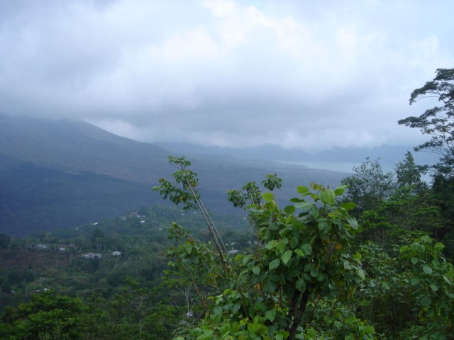 You can just make out the lava flow reaching the lake - just towards the middle-right of the photo!