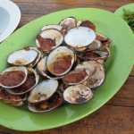 Fresh Bali clams!