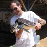 I wonder what the turtle is thinking?